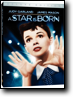 2010 DVD
