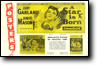 BRITISH PRESSBOOK