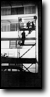 OSCAR NIGHT SCAFFOLD 
