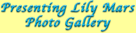 photogalleryheader
