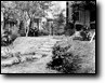 THE SMITH BACKYARD
