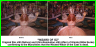 oz70thbeforeafter1.jpg