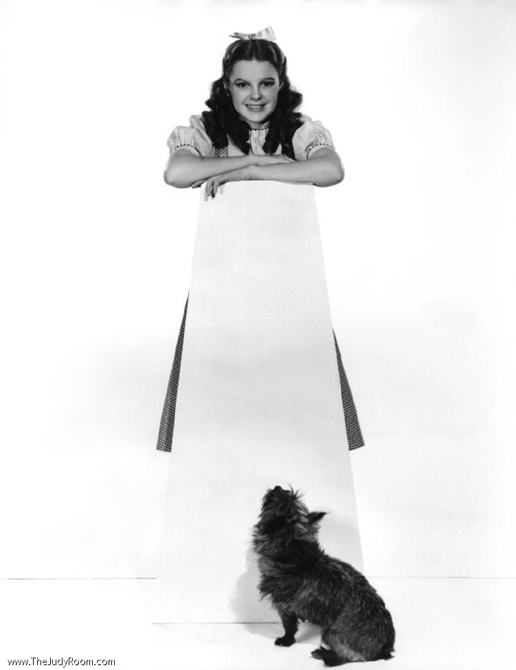 judy-toto.jpg