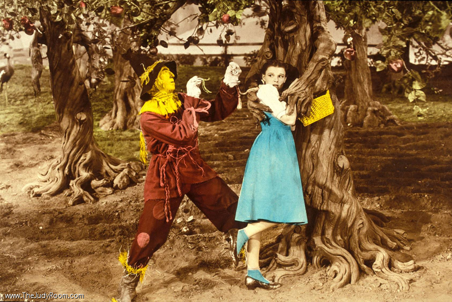 takingonthetreescolor.jpg