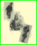 01songbookback.jpg