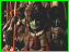 bth-32.jpg