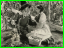 Dorothy-Scarecrow-3.jpg