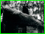DP-03.jpg