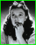 Judy-5.jpg