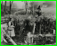 Judy-Ray-Cornfield-LG.jpg